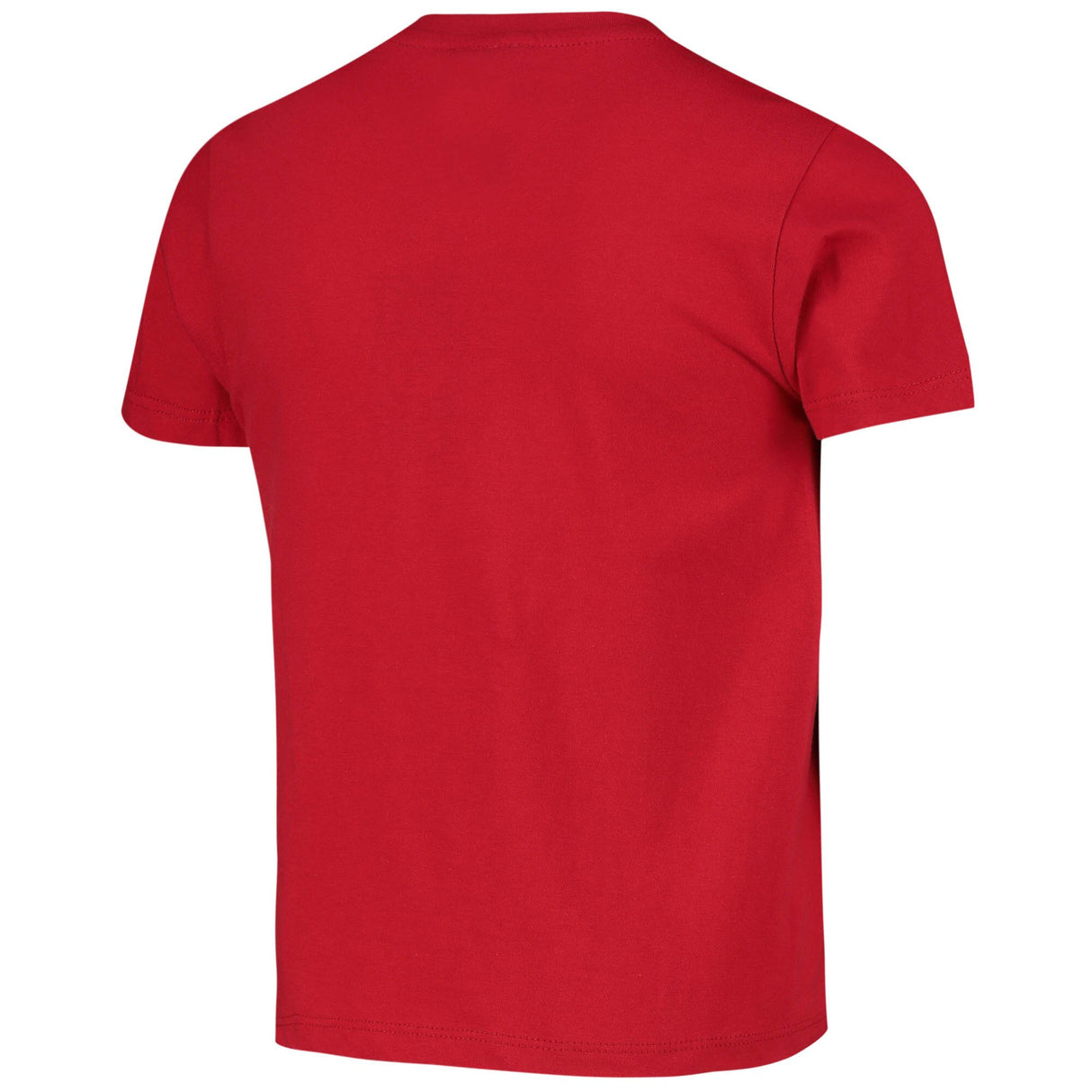 British & Irish Lions Large Logo Tee - Junior - Red - Kit Captain